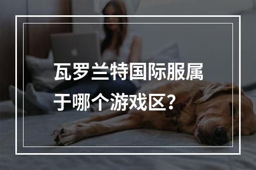 瓦罗兰特国际服属于哪个游戏区?