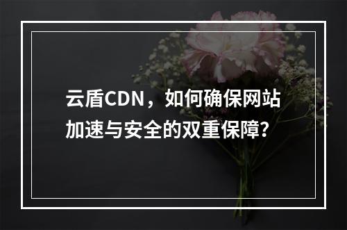 云盾CDN,如何确保网站加速与安全的双重保障?