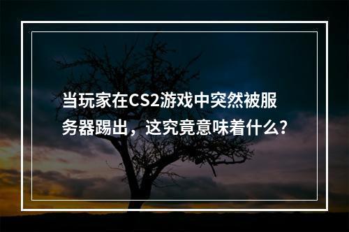 当玩家在CS2游戏中突然被服务器踢出,这究竟意味着什么?