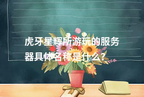 虎牙星辉所游玩的服务器具体名称是什么?