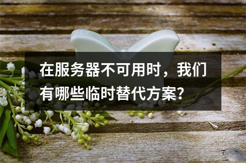 在服务器不可用时,我们有哪些临时替代方案?