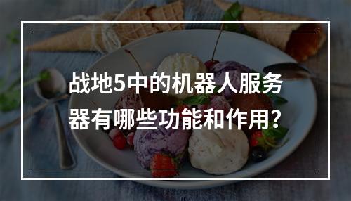 战地5中的机器人服务器有哪些功能和作用?