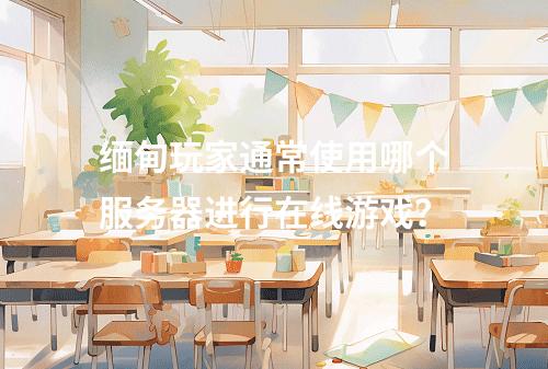 缅甸玩家通常使用哪个服务器进行在线游戏?