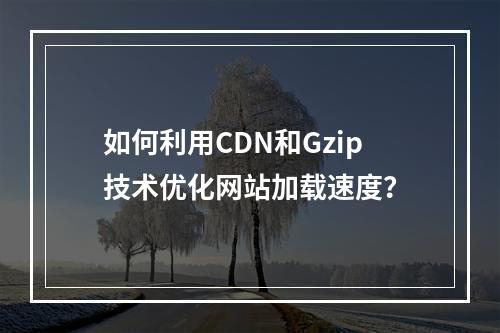 如何利用CDN和Gzip技术优化网站加载速度?