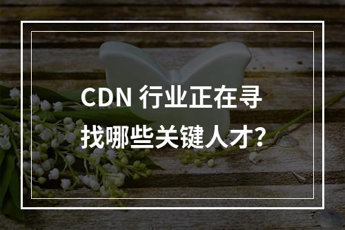 CDN 行业正在寻找哪些关键人才?