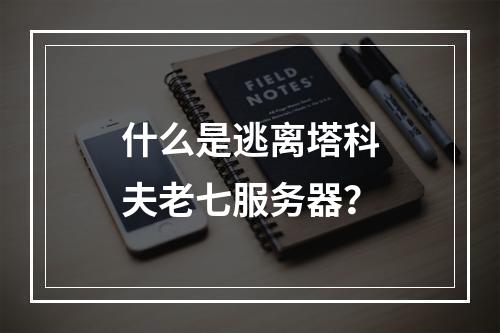 什么是逃离塔科夫老七服务器?