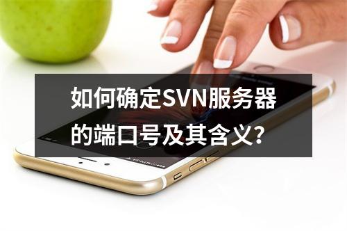 如何确定SVN服务器的端口号及其含义?