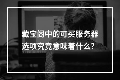 藏宝阁中的可买服务器选项究竟意味着什么?