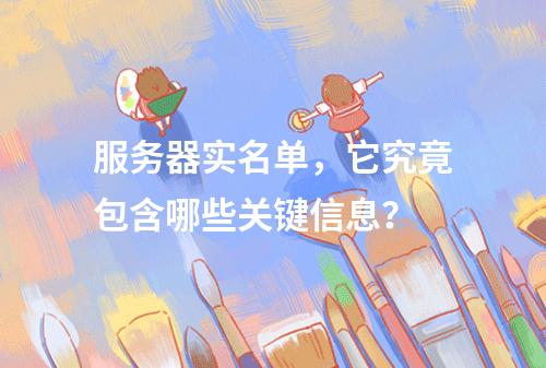 服务器实名单,它究竟包含哪些关键信息?