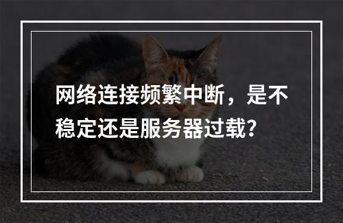 网络连接频繁中断,是不稳定还是服务器过载?