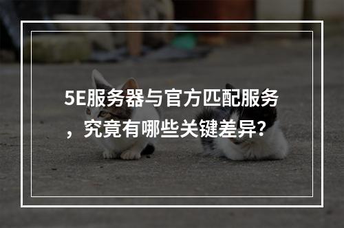 5E服务器与官方匹配服务,究竟有哪些关键差异?