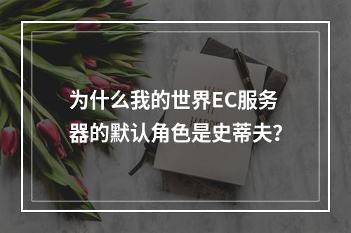 为什么我的世界EC服务器的默认角色是史蒂夫?
