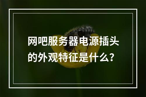 网吧服务器电源插头的外观特征是什么?