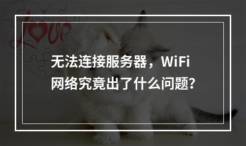无法连接服务器,WiFi网络究竟出了什么问题?