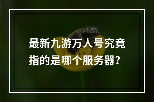 最新九游万人号究竟指的是哪个服务器?