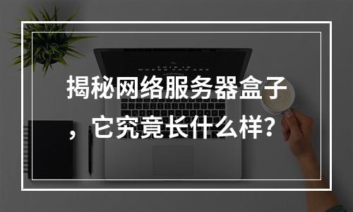 揭秘网络服务器盒子,它究竟长什么样?