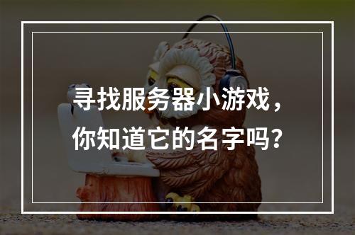 寻找服务器小游戏,你知道它的名字吗?