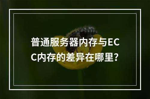 普通服务器内存与ECC内存的差异在哪里?