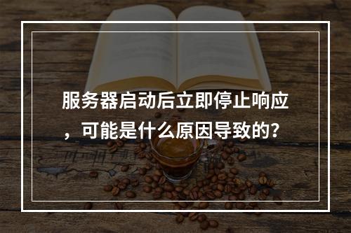 服务器启动后立即停止响应,可能是什么原因导致的?