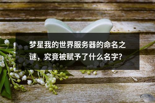 梦星我的世界服务器的命名之谜,究竟被赋予了什么名字?