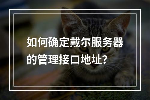 如何确定戴尔服务器的管理接口地址?