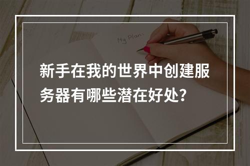 新手在我的世界中创建服务器有哪些潜在好处?