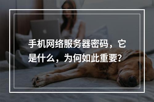 手机网络服务器密码,它是什么,为何如此重要?
