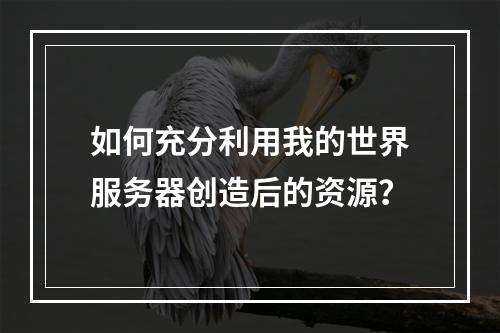 如何充分利用我的世界服务器创造后的资源?
