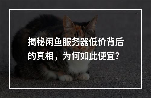 揭秘闲鱼服务器低价背后的真相,为何如此便宜?