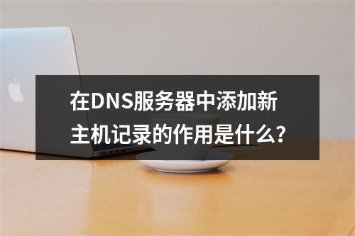 在DNS服务器中添加新主机记录的作用是什么?