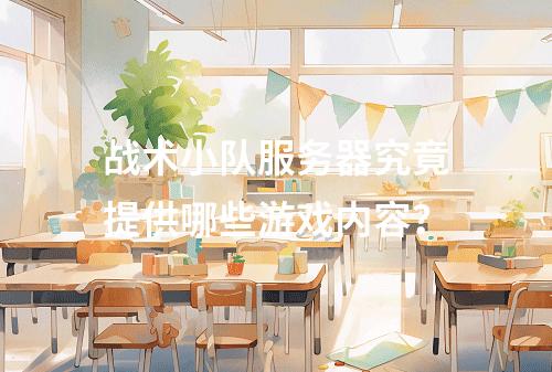 战术小队服务器究竟提供哪些游戏内容?