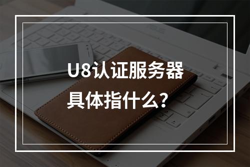 U8认证服务器具体指什么?