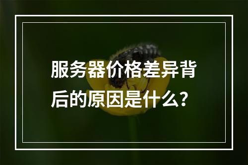 服务器价格差异背后的原因是什么?