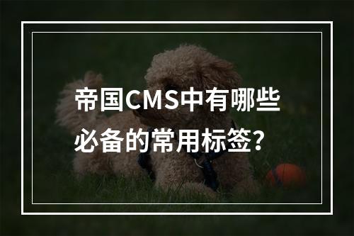 帝国CMS中有哪些必备的常用标签?