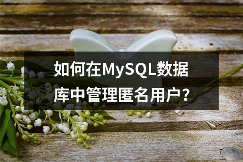 如何在MySQL数据库中管理匿名用户?