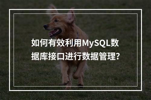 如何有效利用MySQL数据库接口进行数据管理?