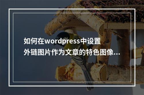 如何在wordpress中设置外链图片作为文章的特色图像?