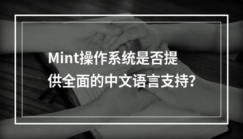 Mint操作系统是否提供全面的中文语言支持?