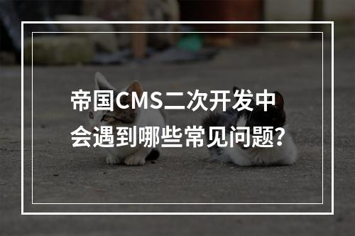 帝国CMS二次开发中会遇到哪些常见问题?
