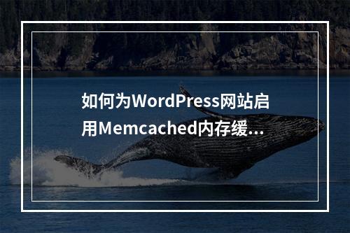 如何为WordPress网站启用Memcached内存缓存以加速页面加载?