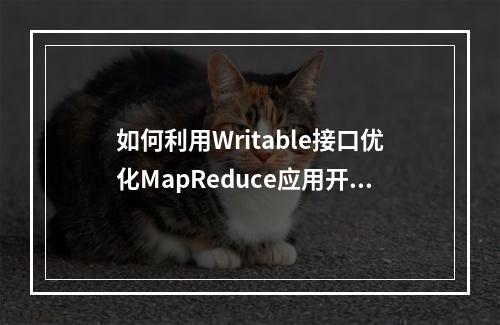 如何利用Writable接口优化MapReduce应用开发?