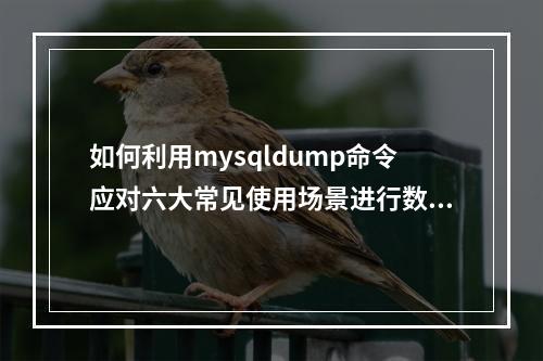 如何利用mysqldump命令应对六大常见使用场景进行数据库导出?