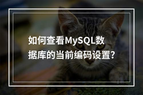 如何查看MySQL数据库的当前编码设置?