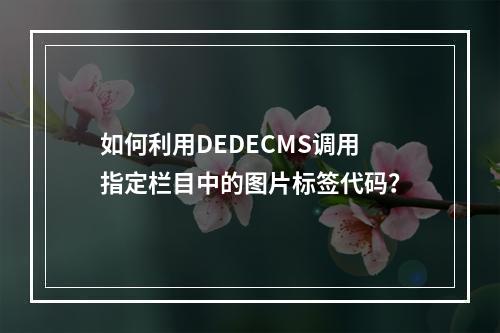 如何利用DEDECMS调用指定栏目中的图片标签代码?