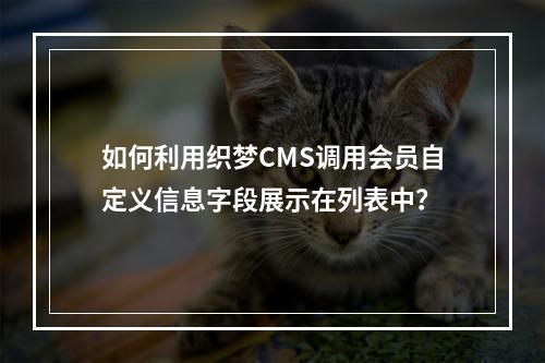 如何利用织梦CMS调用会员自定义信息字段展示在列表中?