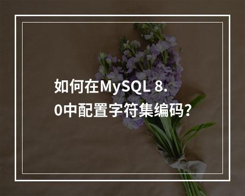 如何在MySQL 8.0中配置字符集编码?