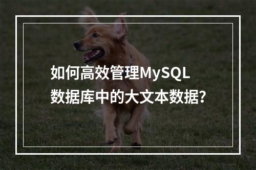如何高效管理MySQL数据库中的大文本数据?