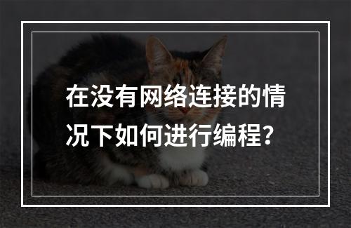 在没有网络连接的情况下如何进行编程?