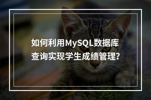 如何利用MySQL数据库查询实现学生成绩管理?