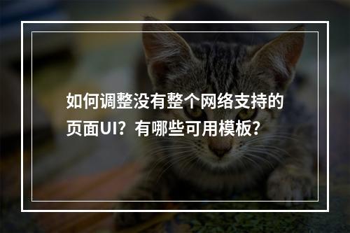 如何调整没有整个网络支持的页面UI?有哪些可用模板?